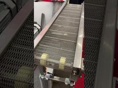 স্টেইনলেস স্টীল কনভেয়র বেল্ট মেশিন